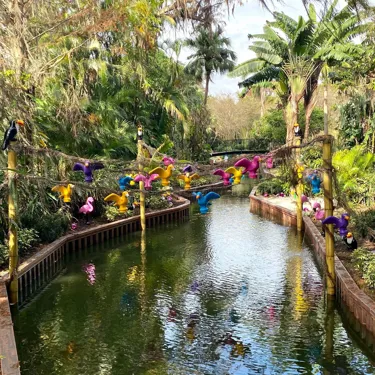 Birds on Pirate River Quest Ride
