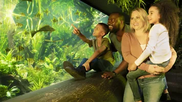 Sealife Familywithtank 700X500