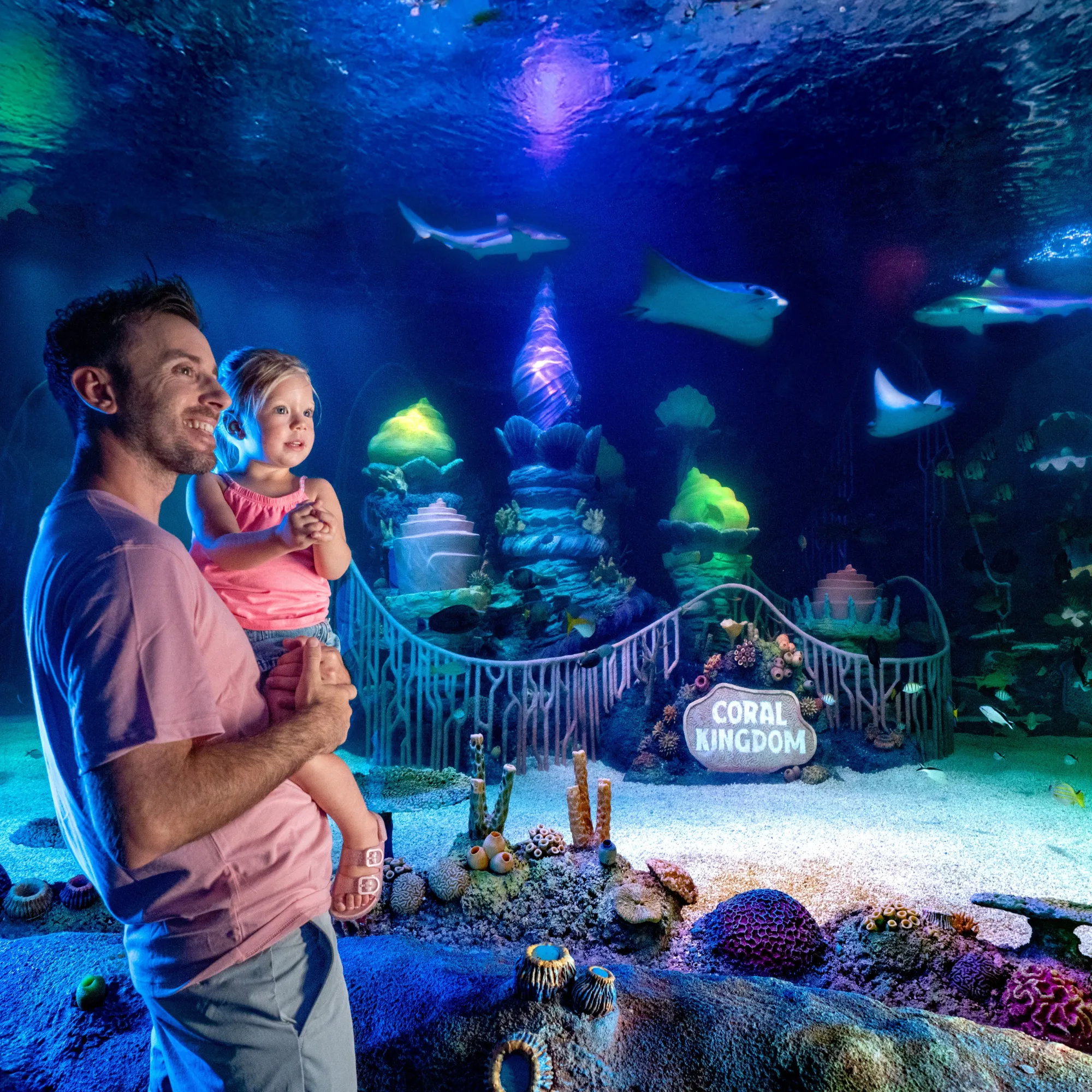 Oceanarium